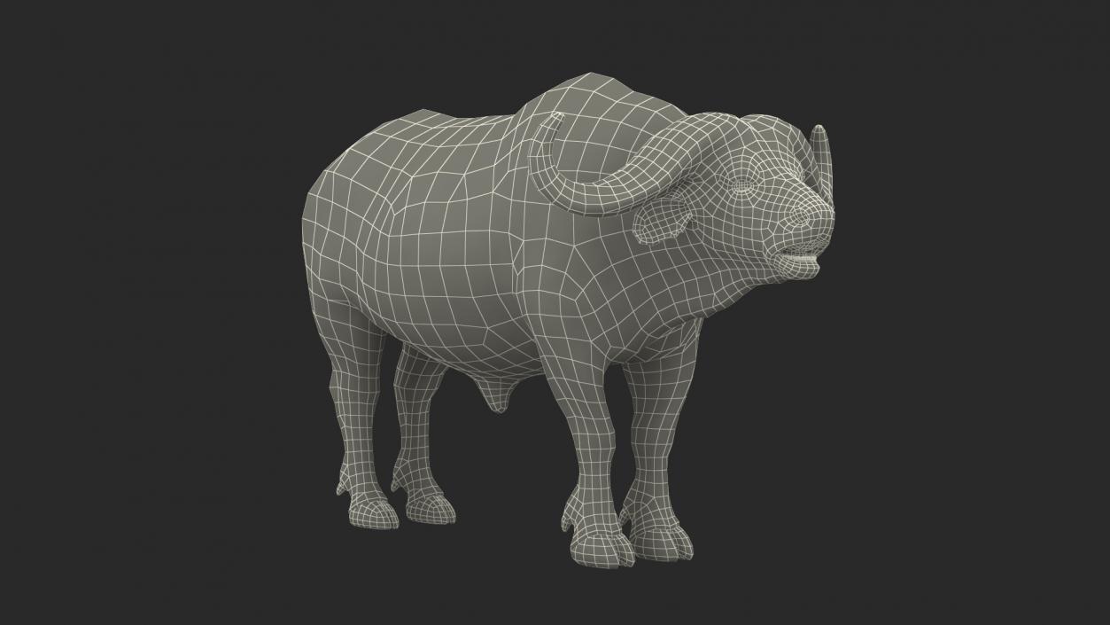 Cape Buffalo African Buffalo with Fur Rigged 3D model