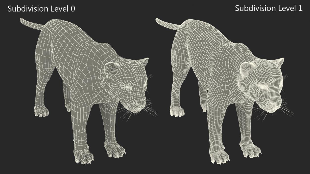 Black Panther Fur Rigged 3D model