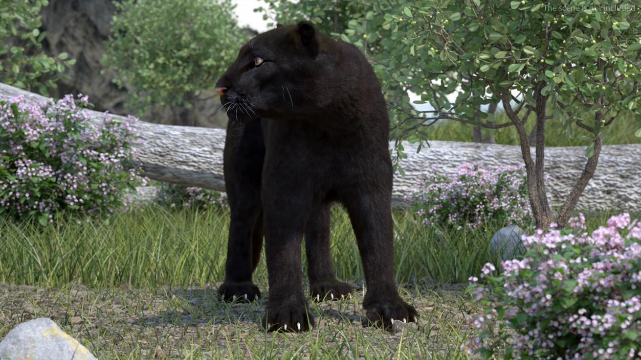 Black Panther Fur Rigged 3D model