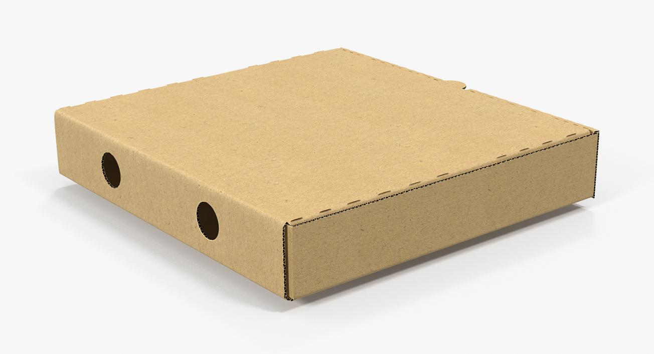 3D Carton Pizza Box