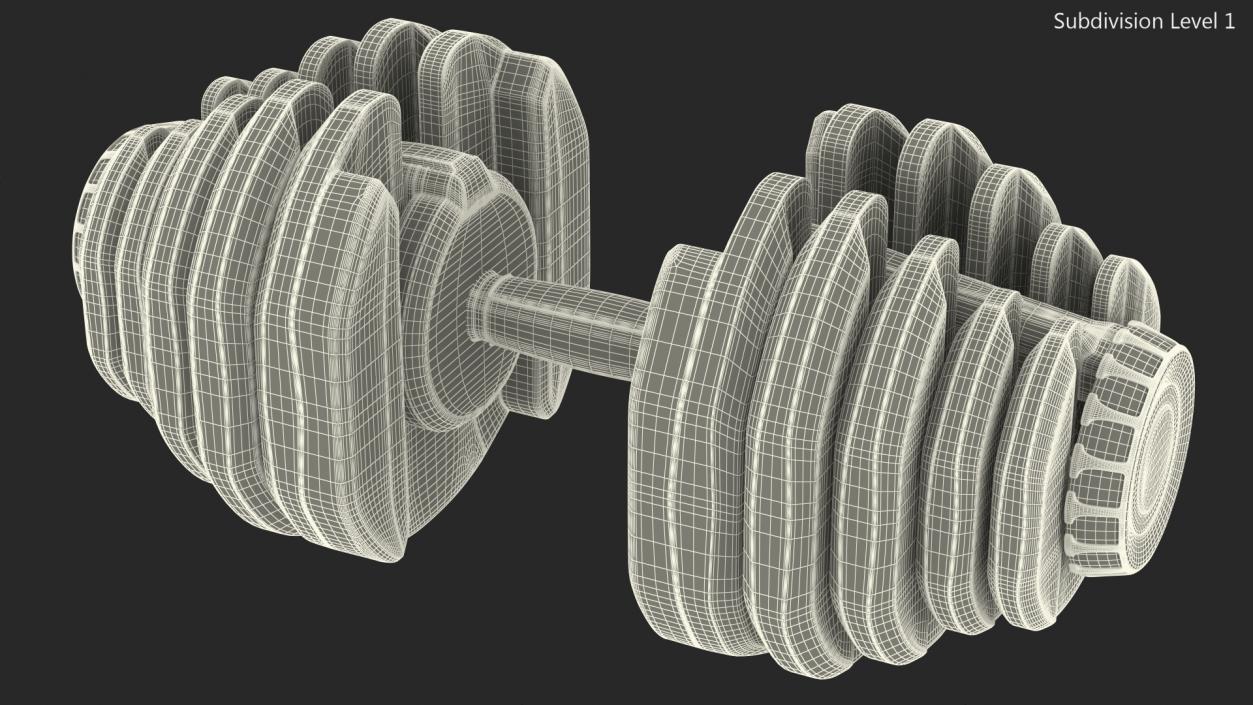 3D model Dial Weight Adjusting Dumbbell