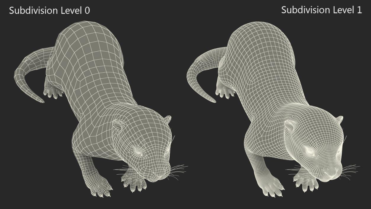 3D model North American Otter Lying Pose Fur