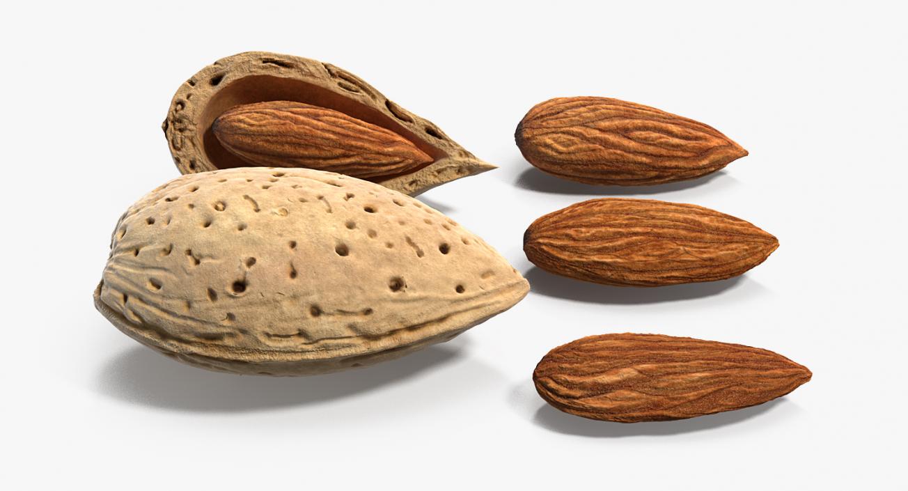 3D Almonds Collection model