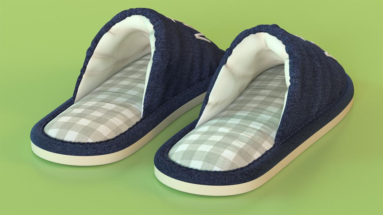 3D Womens Indoor House Slippers model