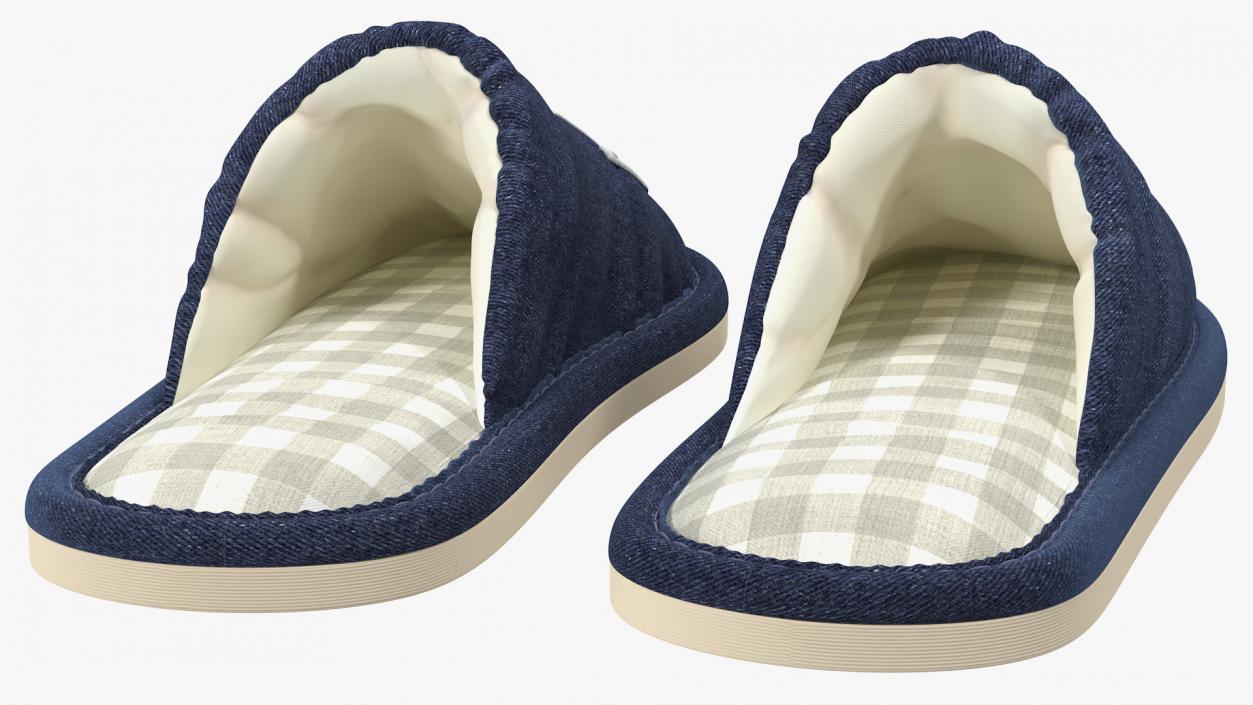 3D Womens Indoor House Slippers model