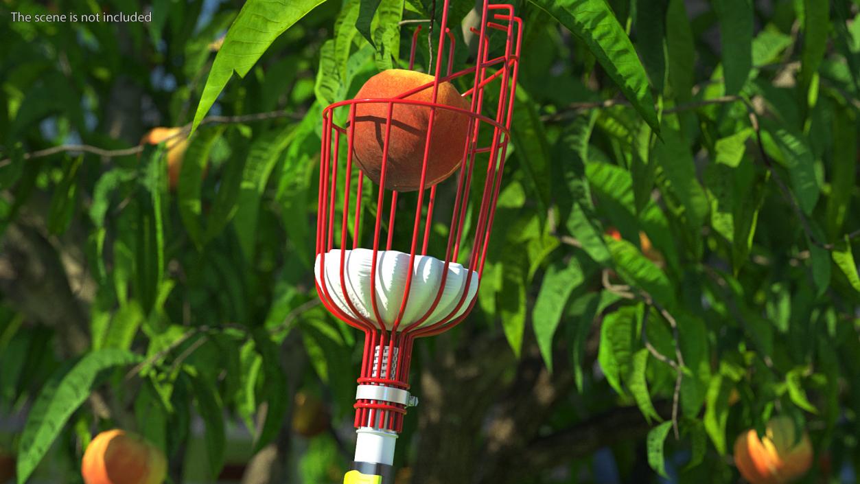 3D Fruit Picker Tool with Aluminum Telescoping Pole model