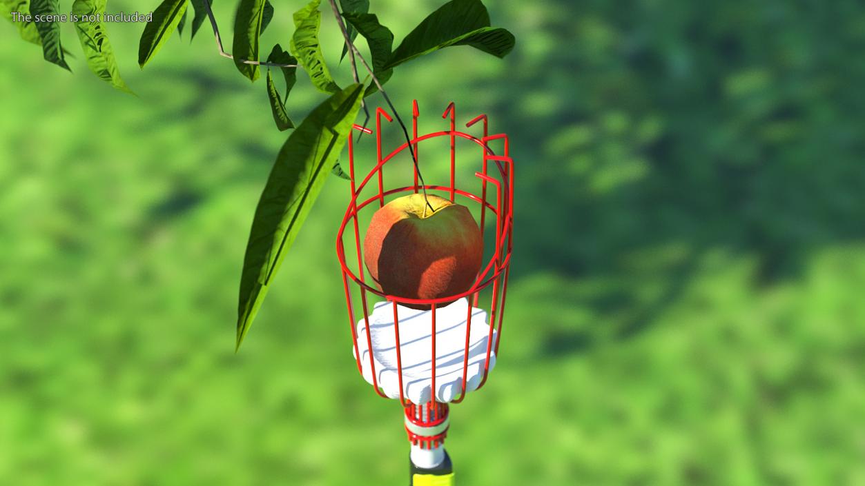 3D Fruit Picker Tool with Aluminum Telescoping Pole model