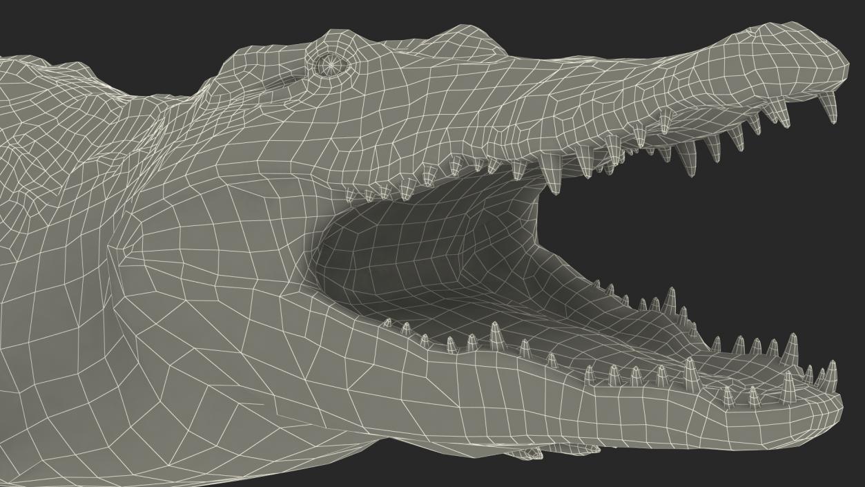 Animated Crocodile Attack Rigged 3D