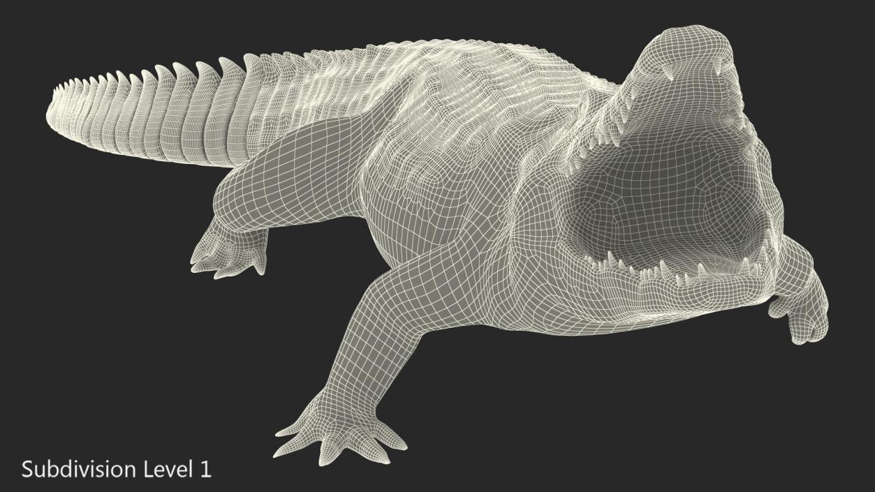 Animated Crocodile Attack Rigged 3D