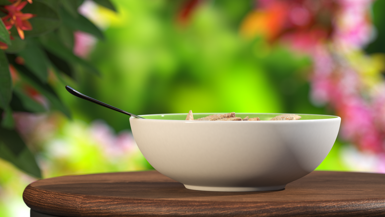 Breakfast Cereal Pads in Bowl with Milk 3D model