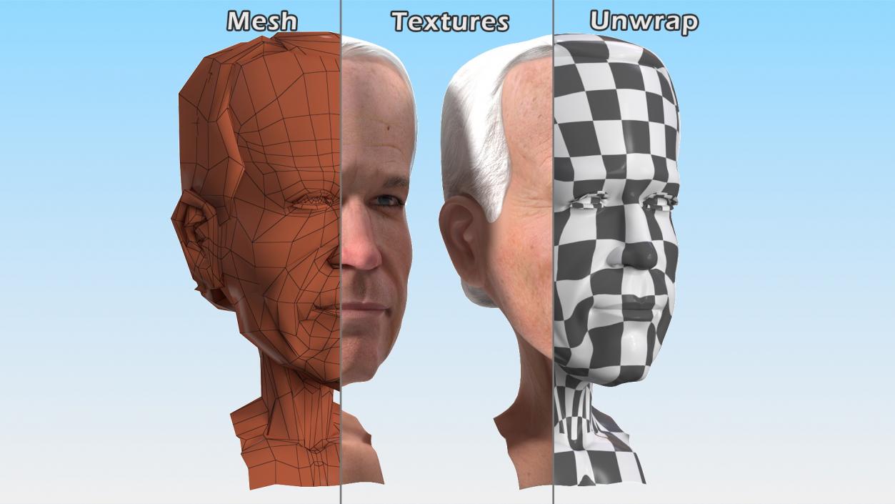 Cartoon Joe Biden Head 3D