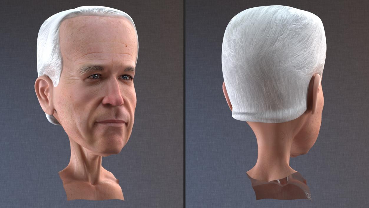 Cartoon Joe Biden Head 3D