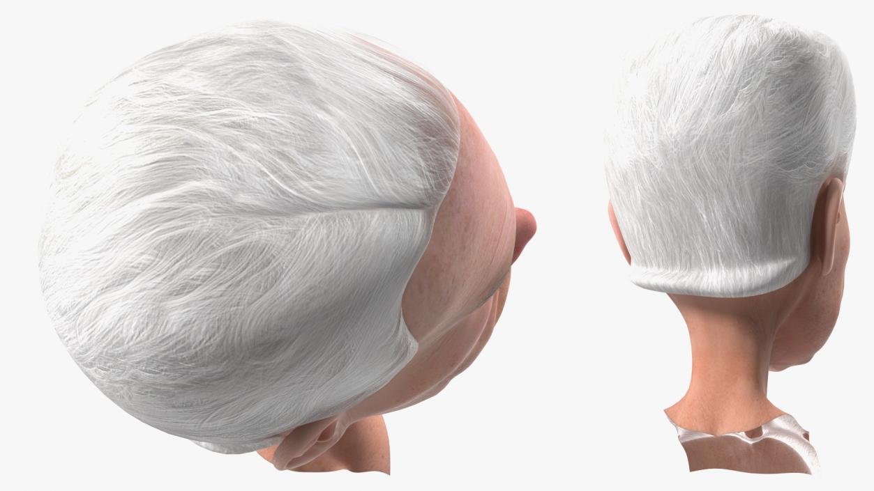 Cartoon Joe Biden Head 3D