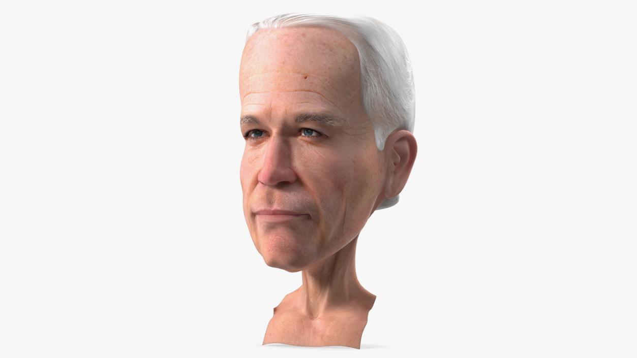 Cartoon Joe Biden Head 3D