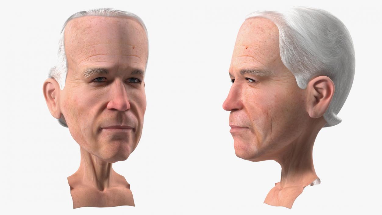 Cartoon Joe Biden Head 3D