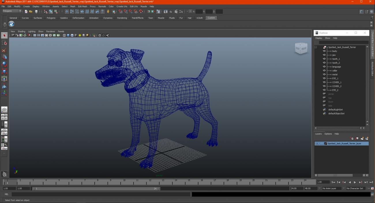 3D Spotted Jack Russell Terrier model