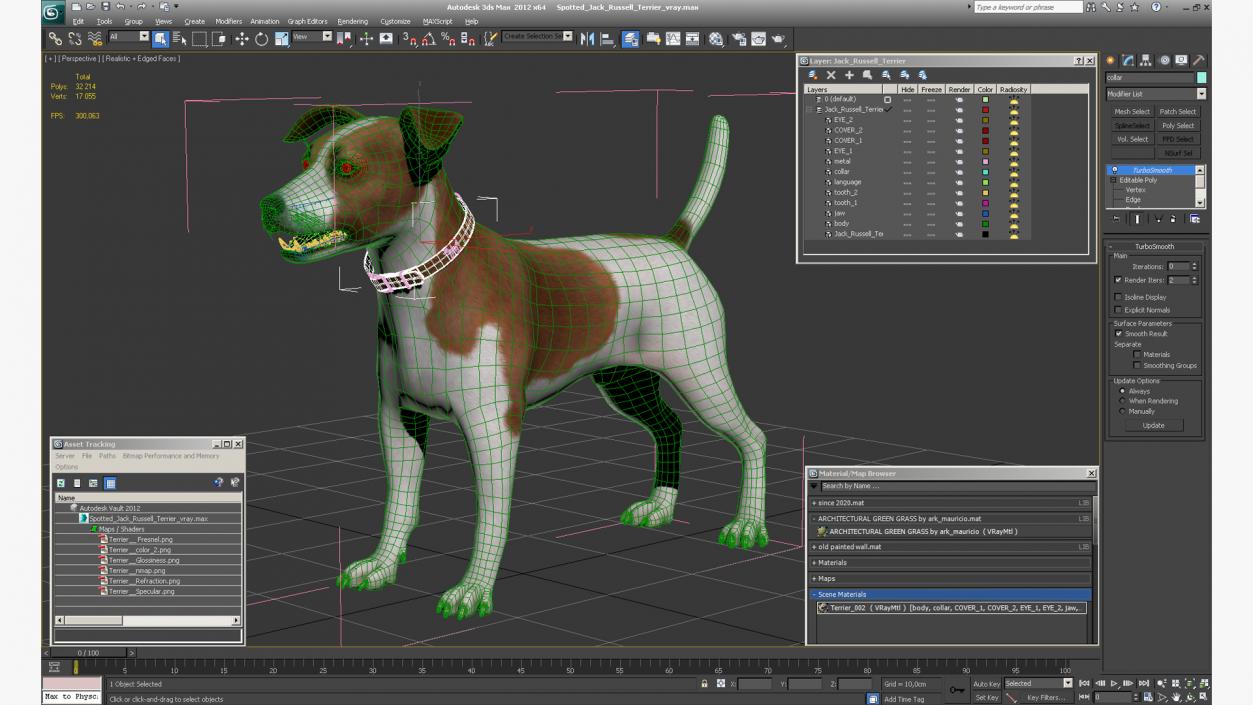 3D Spotted Jack Russell Terrier model