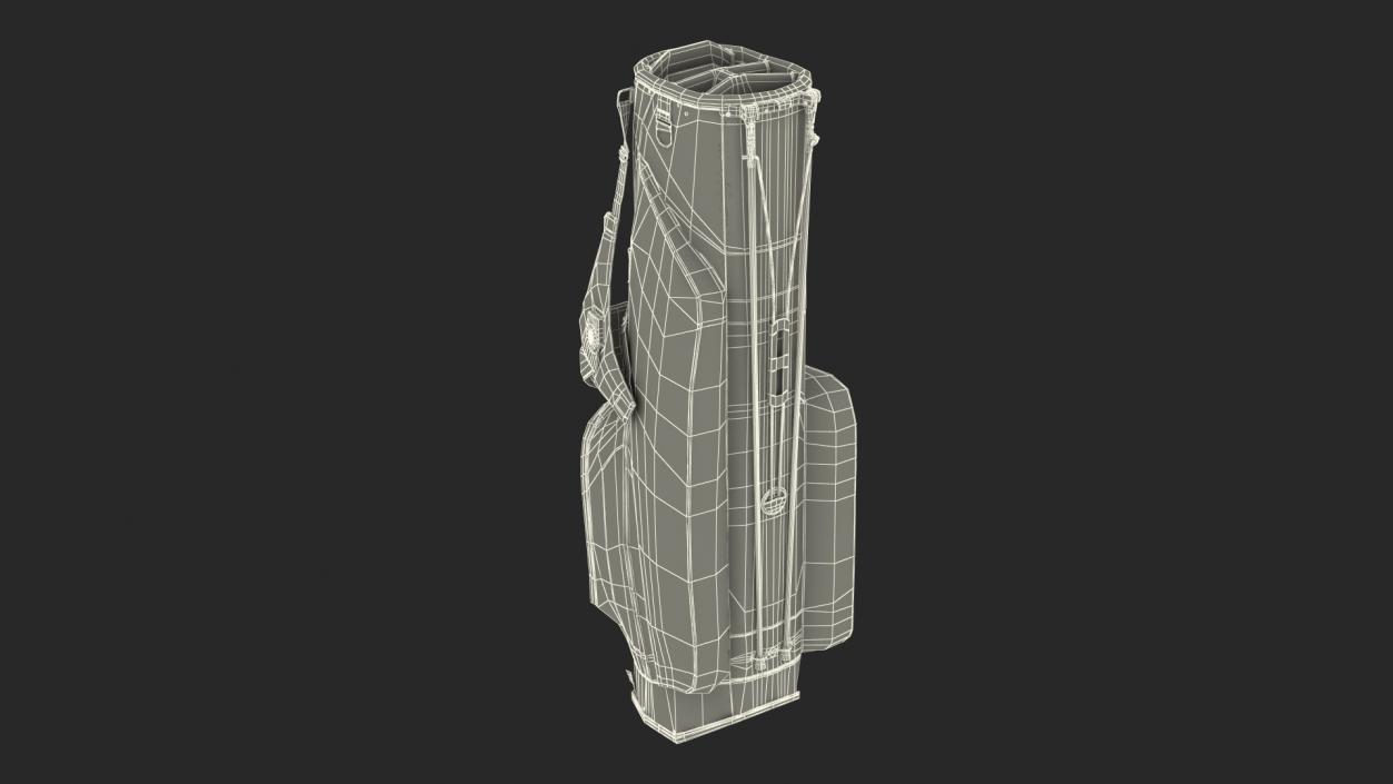 Golf Bag Nike with Stand 3D model