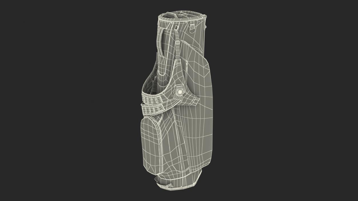 Golf Bag Nike with Stand 3D model