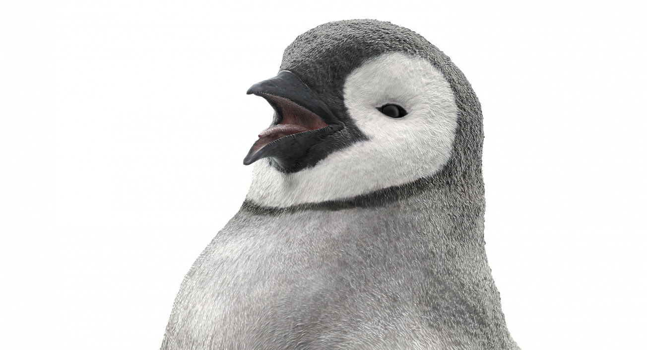 3D model Penguin Baby Walking Pose