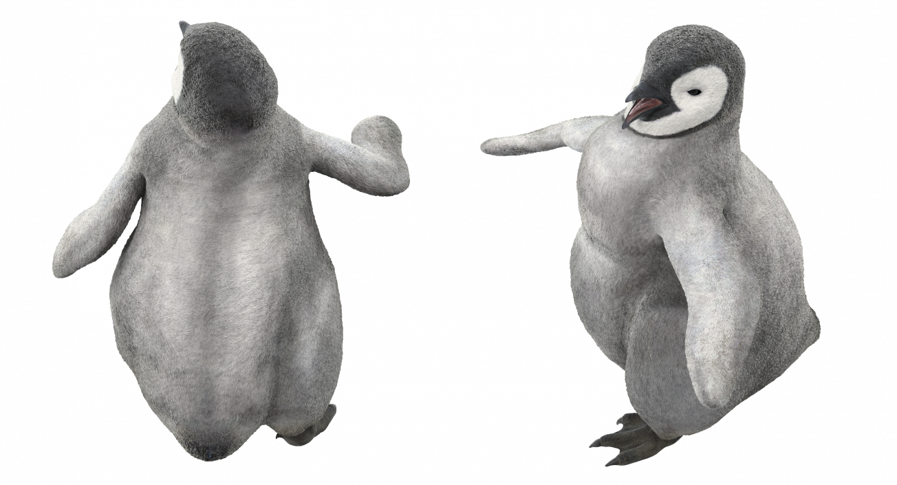 3D model Penguin Baby Walking Pose