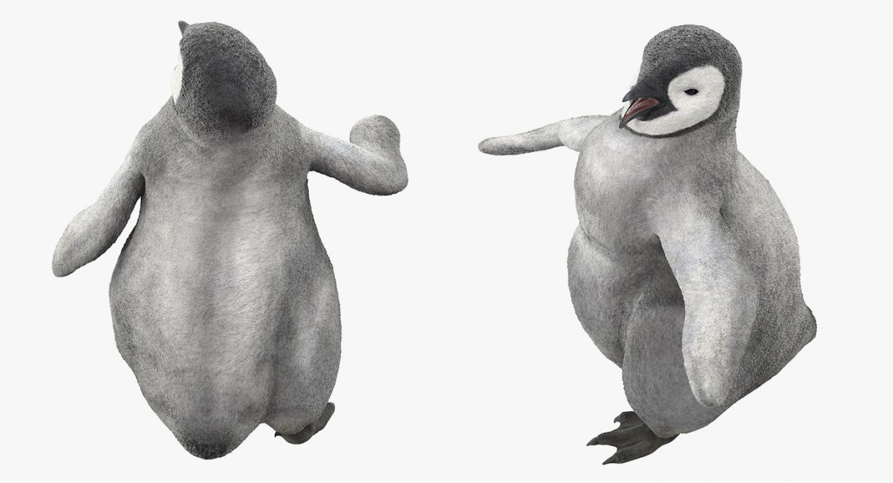 3D model Penguin Baby Walking Pose