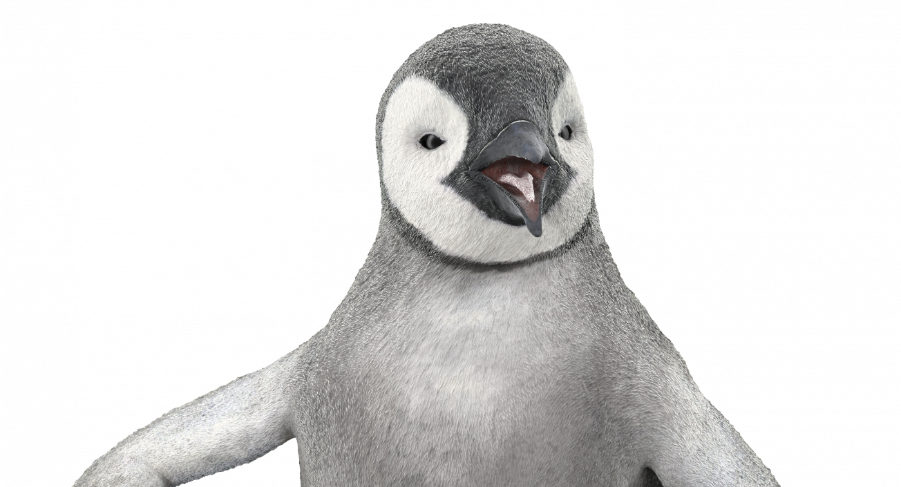 3D model Penguin Baby Walking Pose