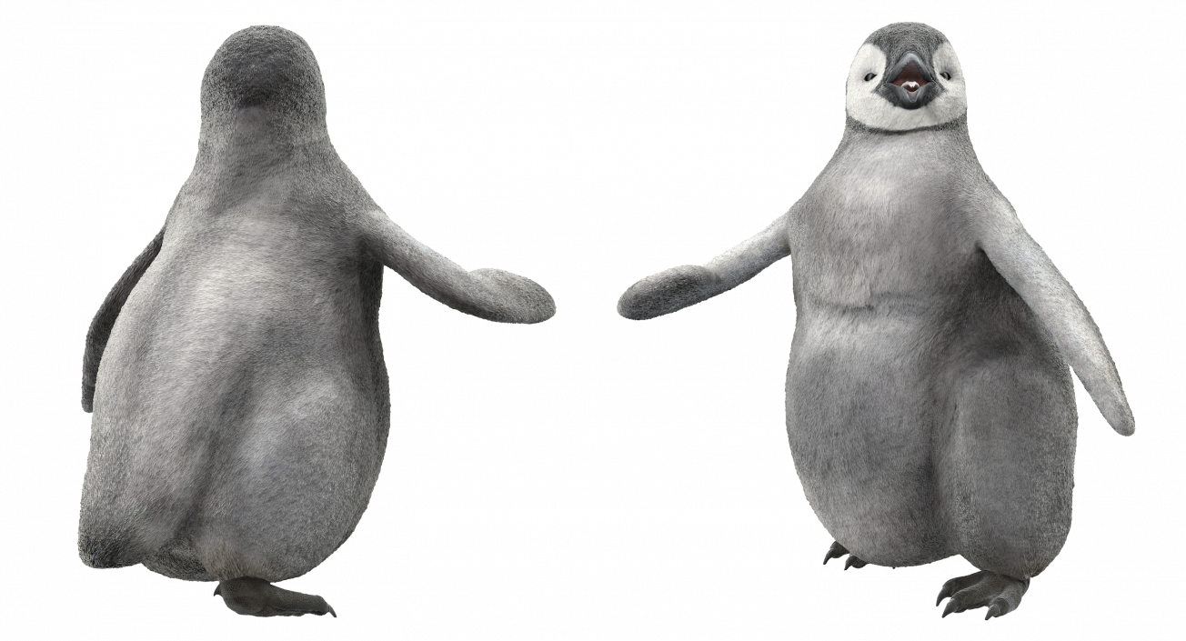 3D model Penguin Baby Walking Pose