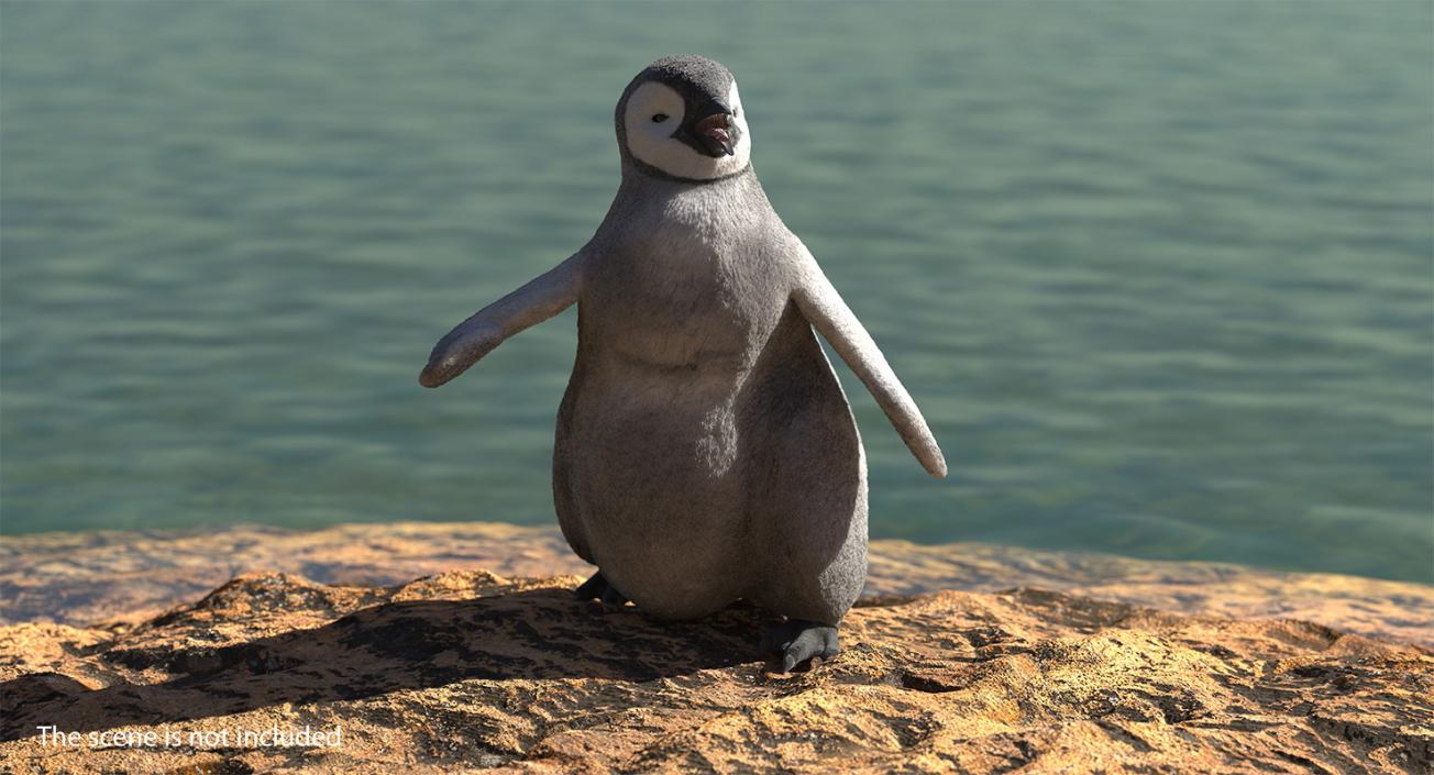 3D model Penguin Baby Walking Pose