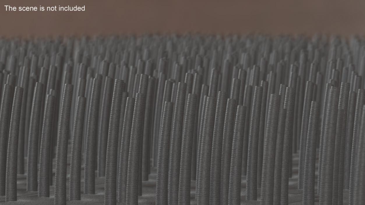 3D Human Hair Under the Microscope