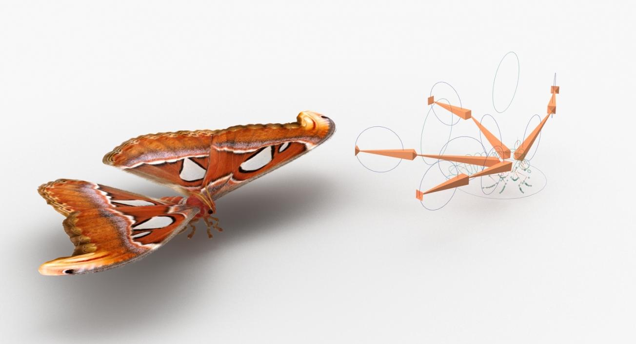 3D Insects Big Rigged Collection 3