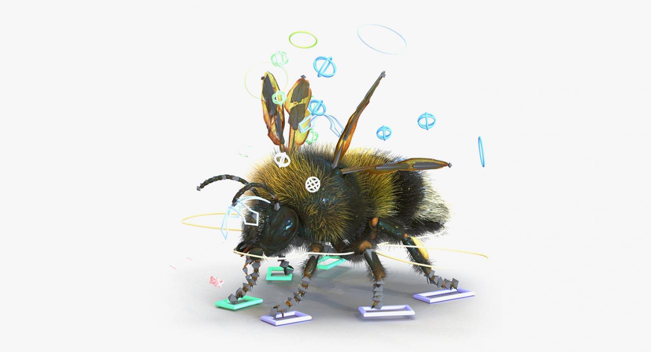 3D Insects Big Rigged Collection 3