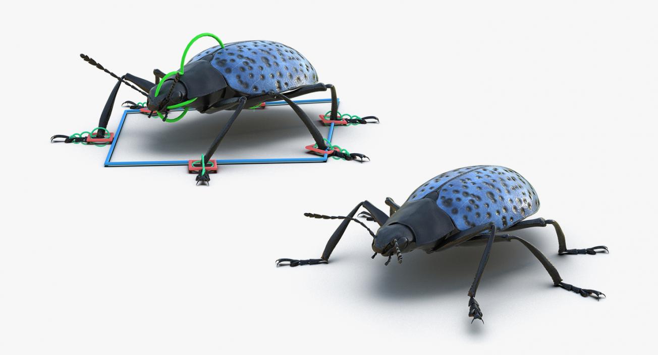 3D Insects Big Rigged Collection 3