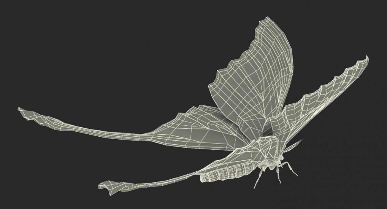 3D Insects Big Rigged Collection 3