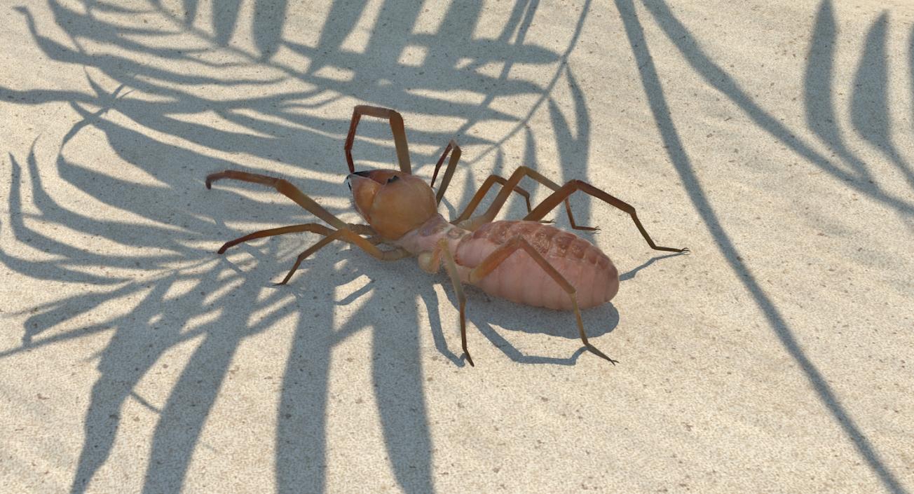 3D Insects Big Rigged Collection 3