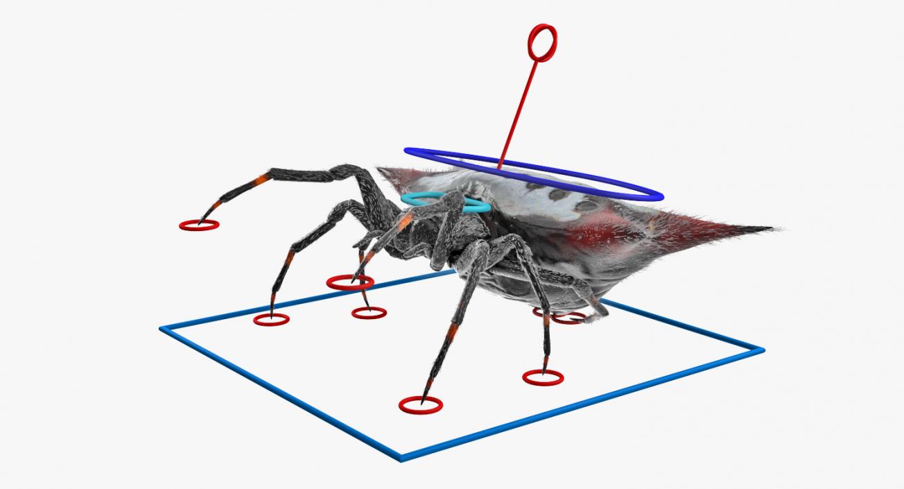 3D Insects Big Rigged Collection 3