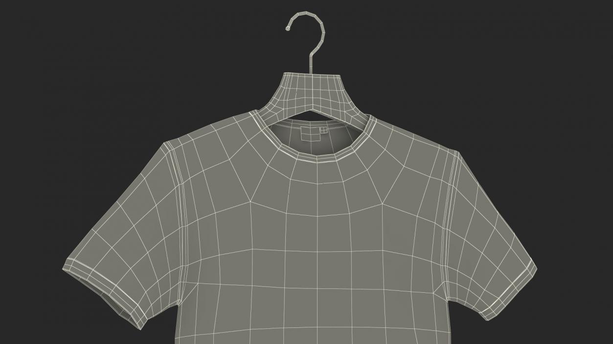 T-Shirt on Hanger 3D