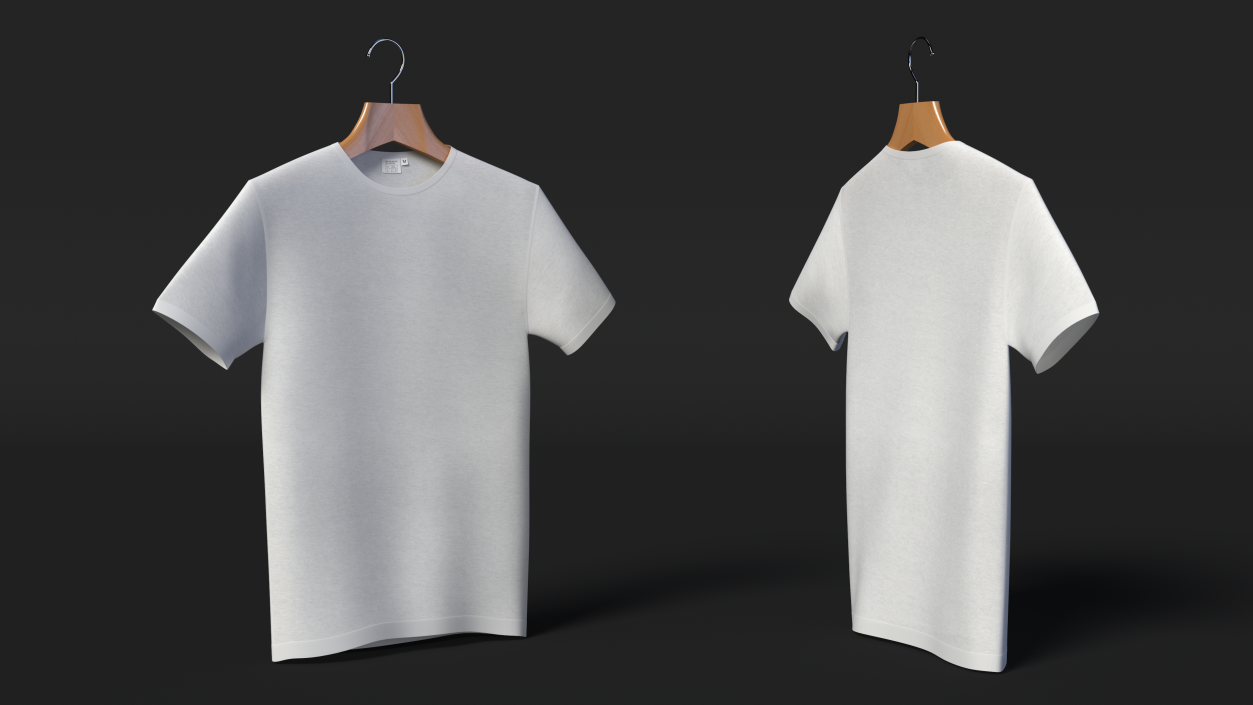 T-Shirt on Hanger 3D