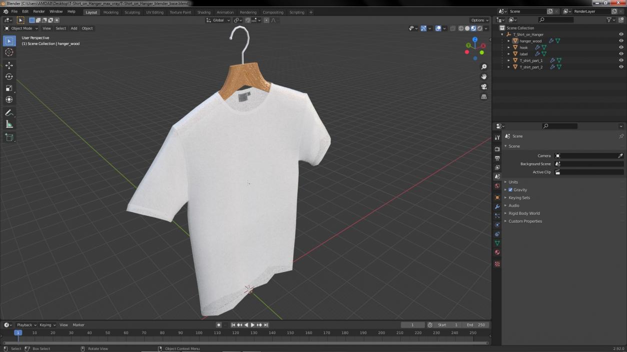 T-Shirt on Hanger 3D