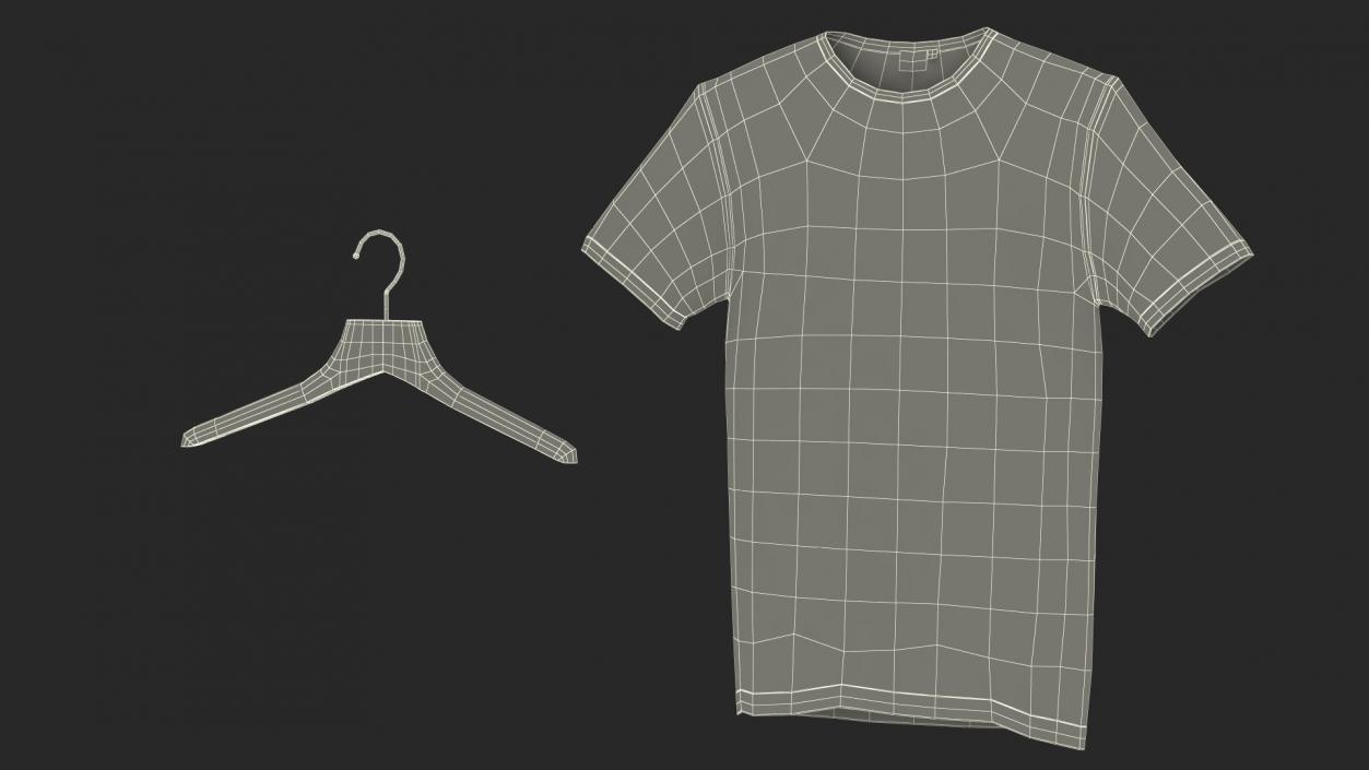 T-Shirt on Hanger 3D