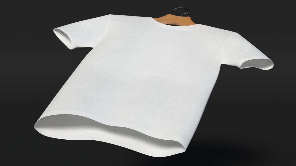 T-Shirt on Hanger 3D