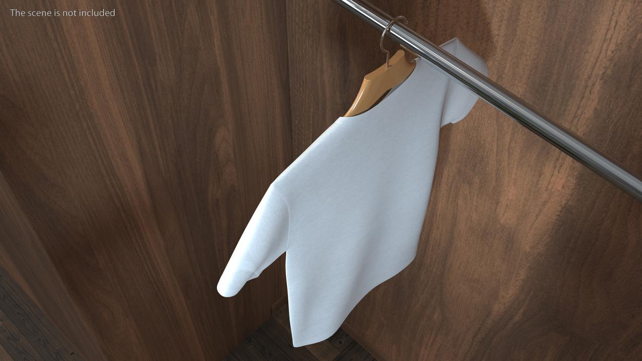 T-Shirt on Hanger 3D