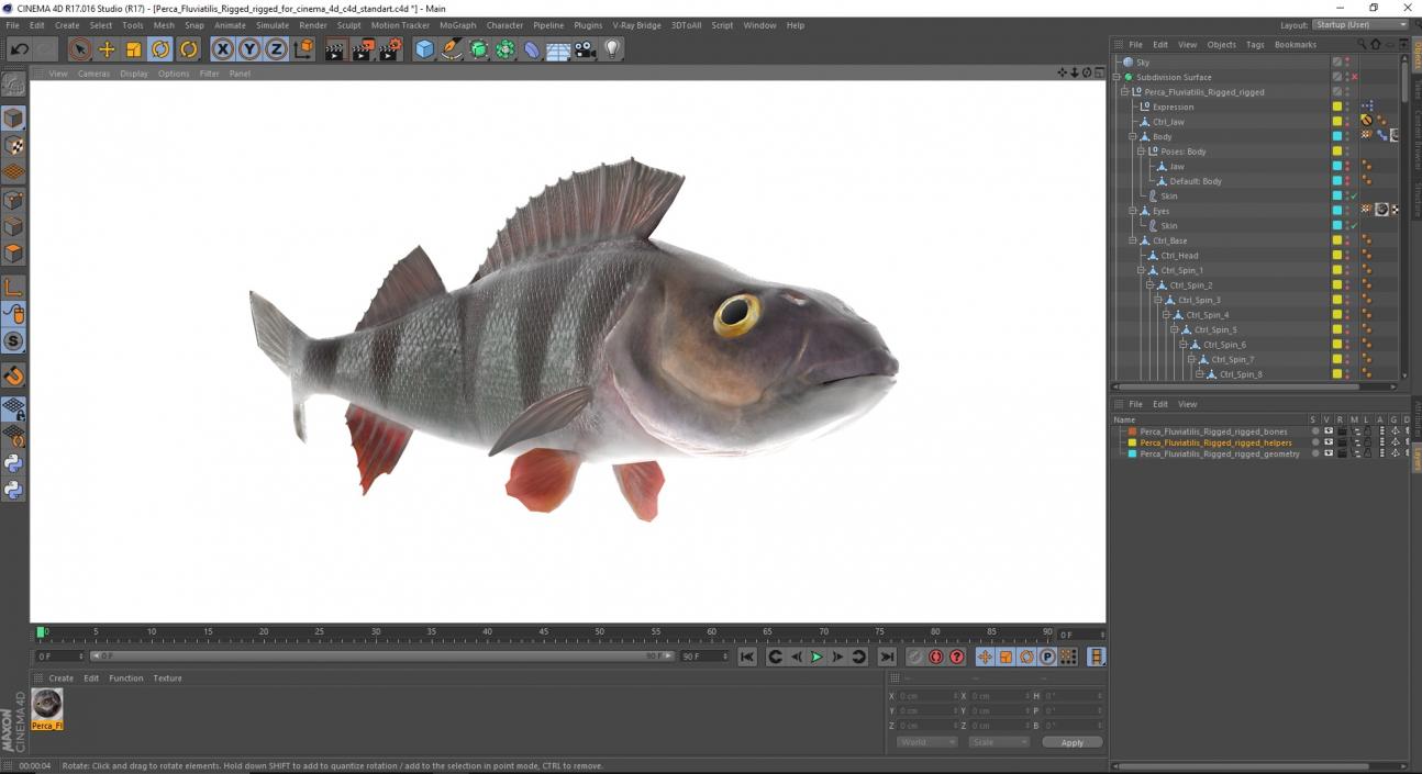 3D Perca Fluviatilis Rigged for Cinema 4D model