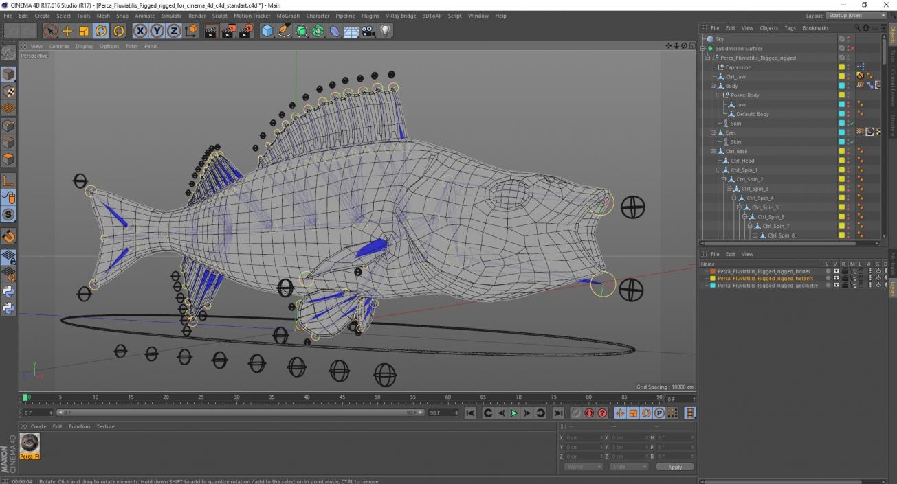 3D Perca Fluviatilis Rigged for Cinema 4D model