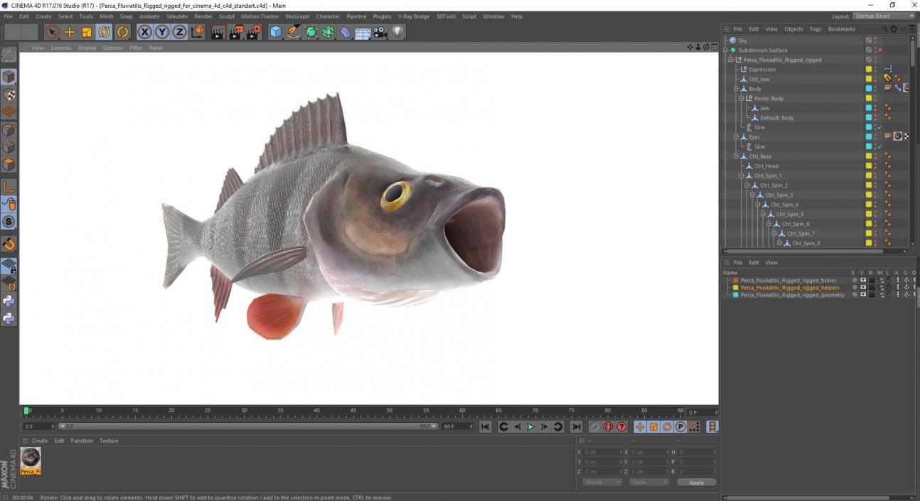 3D Perca Fluviatilis Rigged for Cinema 4D model