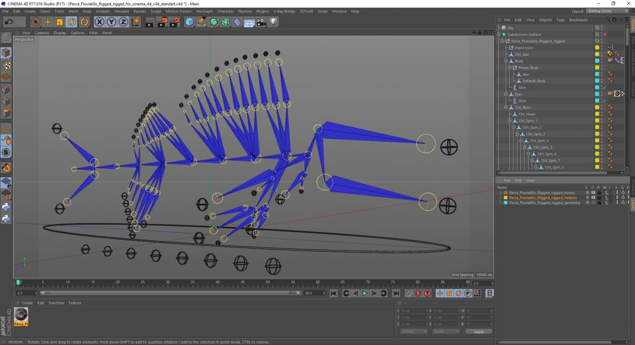 3D Perca Fluviatilis Rigged for Cinema 4D model