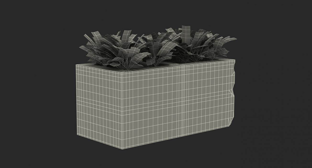 3D Ornamental Plants in Pots Collection