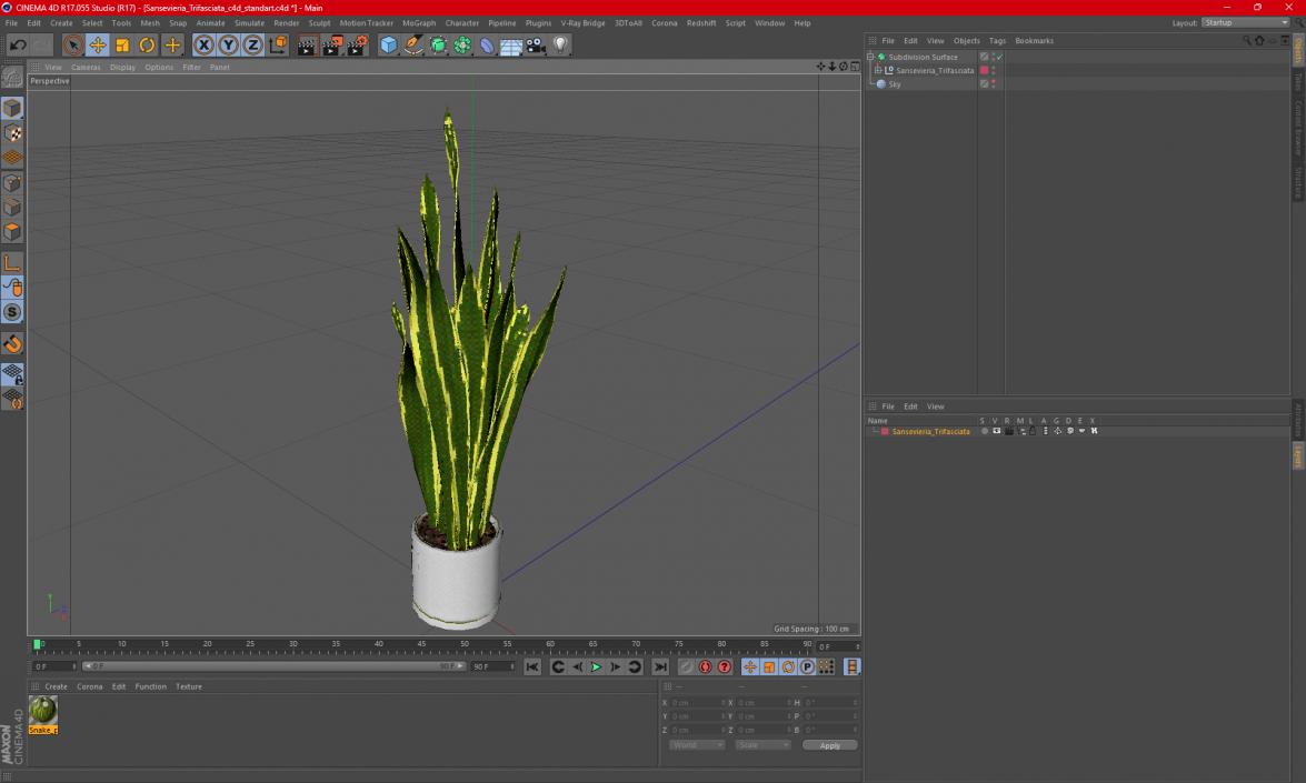 3D Sansevieria Trifasciata model