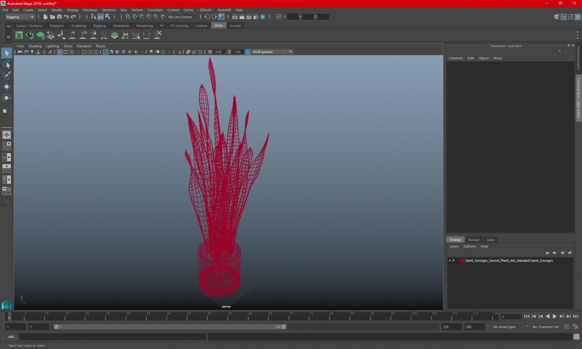 3D Sansevieria Trifasciata model