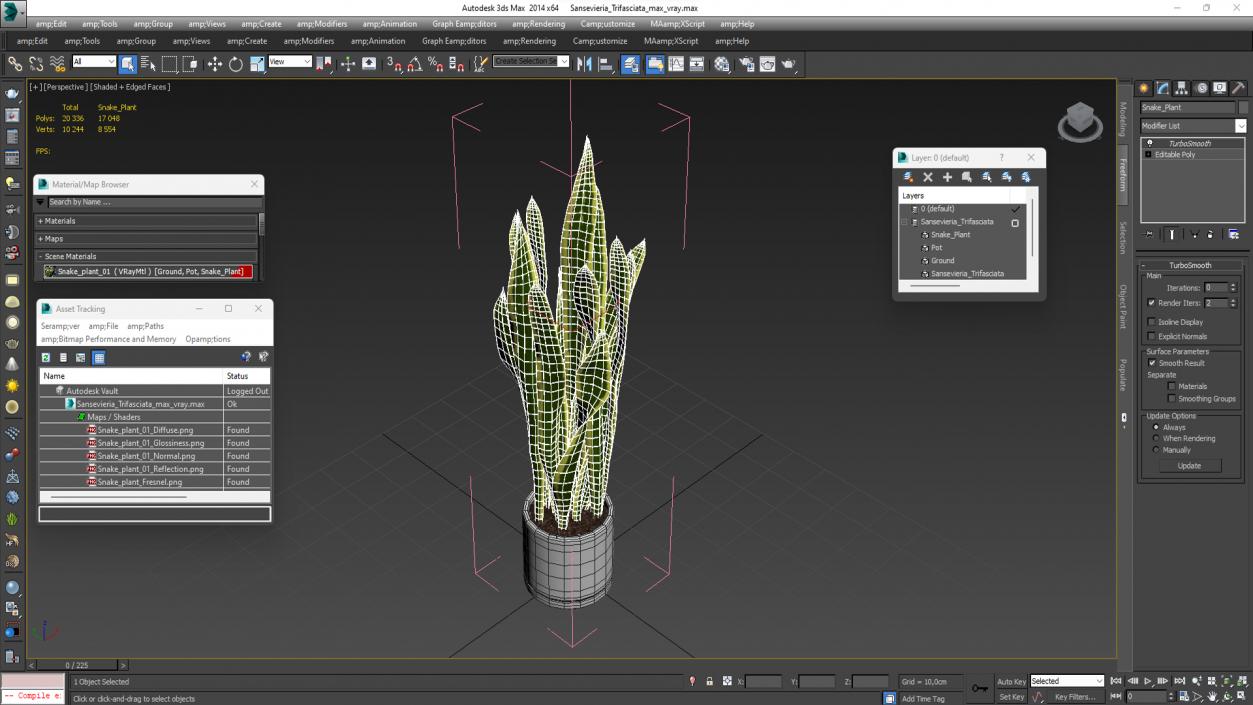 3D Sansevieria Trifasciata model